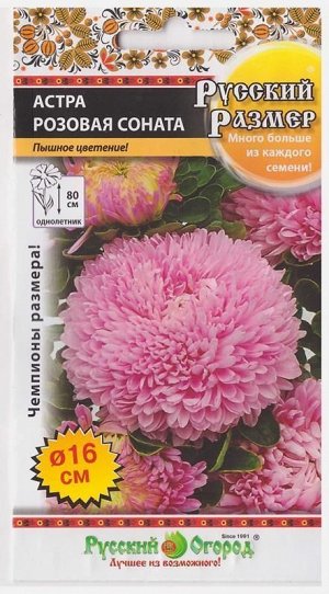 Астра Русский размер Розовая соната (Код: 72953)