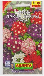 Вербена Яркие искры (смесь) (Код: 15746)