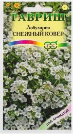 Лобулярия Снежный ковер морская (Код: 9908)