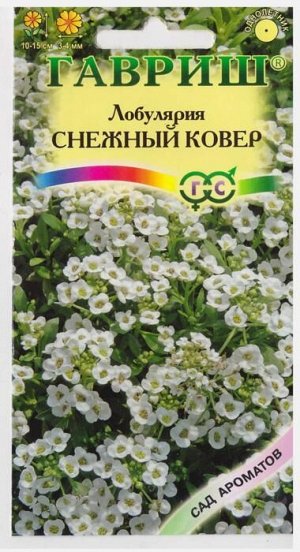 Лобулярия Снежный ковер морская (Код: 9908)