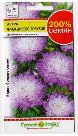 Астра Фламир Бело-голубой (Код: 499)