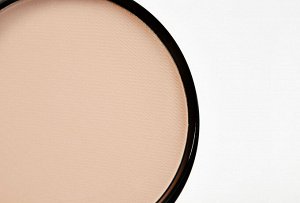 EVELINE Пудра минеральная матирующая с шелком "Art. PROFESSIONAL Make-up", тон 31 прозрачный