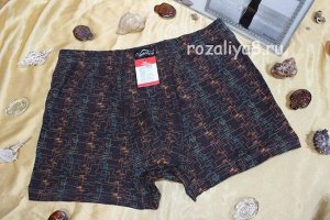 Трусы мужские боксеры p-p 46-54 Арт. 34056 Veenice (к.10801)