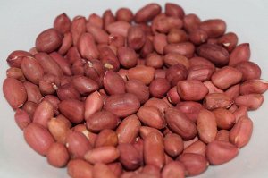 Арахис Узбекистан сырой, 500гр свежий, вкусный