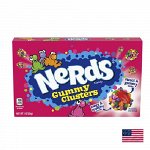 Wonka Nerds Gummy clusters 85g - Конфеты Вилли Вонки Нёрдс с мармеладом