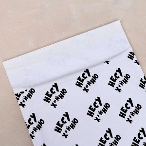Крафт-конверт с воздушно-пузырьковой плёнкой, с приколом "Несу", 18 х 26 см