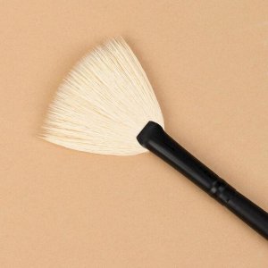 Кисть для макияжа «Premium Brush», веерная, в чехле, 20 см, цвет чёрный
