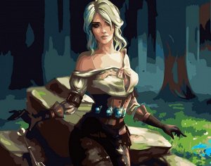 Картина по номерам на холсте "Ciri"