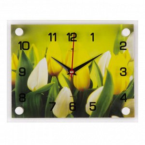 Часы настенные СН 2026 - 168 Тюльпаны прямоуг (20х26) (10)