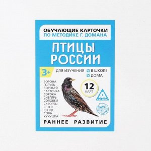 Обучающие карточки по методике Г. Домана «Птицы России», 12 карт, А6