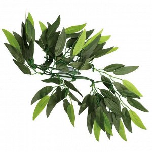 Растение для террариума "Рускус", 30 см