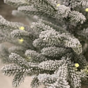 Настольная елка Кембридж со светодиодами заснеженная в мешочке 75 см, 35 теплых белых LED ламп на батарейках, ЛИТАЯ 100% (National Tree Company)