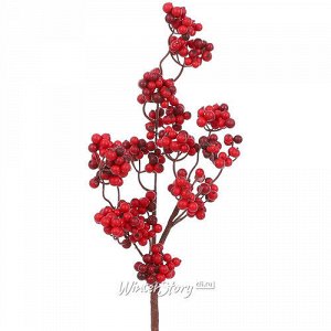 Декоративная ветка с ягодами Берри Россо 61 см (Edelman)