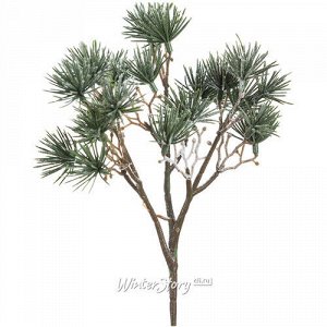 Хвойная ветка Virginia Pine заснеженная 22 см, ЛИТАЯ 100% (Hogewoning)