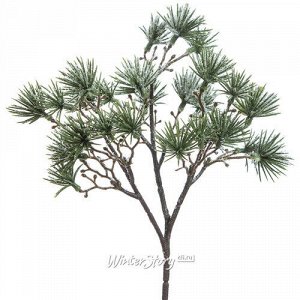 Хвойная ветка Virginia Pine заиндевелая 22 см, ЛИТАЯ 100% (Hogewoning)
