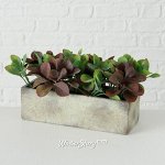 Искусственное растение в горшке Serissa 24 см (Boltze)