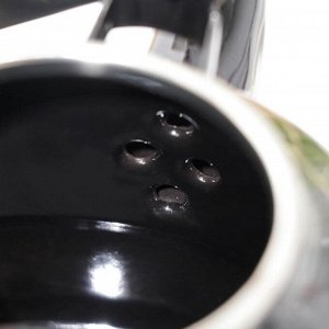 Чайник эмалированный «Элемент», 1,7 л, цвет чёрный
