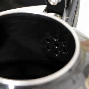 Чайник эмалированный «Элемент», 2,5 л, цвет чёрный