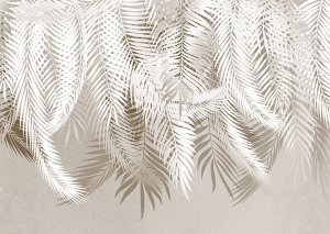 Фотообои Пушистые пальмы