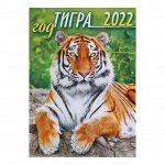 Календарь на магните, отрывной &quot;Символ года 2022 - 9&quot; 10х13 см