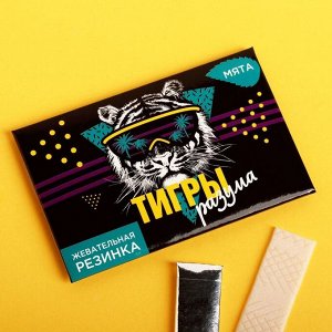 Жевательная резинка «Тигры разума», мята, 5 шт.