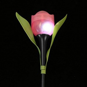 Фонарь садовый на солнечной батарее "Тюльпан розовый", 29 см, d-5 см, 1 led, пластик