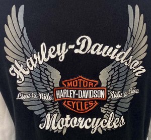 Женская толстовка Harley-Davidson – контрастные рукава, уютный капюшон, замок по всей длине. Вещь – топ! №1008