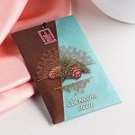 Саше ароматическое &quot;Свежесть леса&quot;, 10 г, &quot;Богатство Аромата&quot;