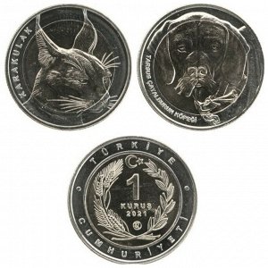 Набор 2 монеты Турция 1 куруш 2021 Каракал и Каталбурун