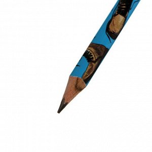Карандаш чернографитный 2 мм Happy Graphix "Синие ботинки", HB, трёхгранный