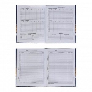 Дневник для 5-11 классов Gold and blue, 48 листов, твёрдая обложка, тиснение голографической фольгой, матовая ламинация
