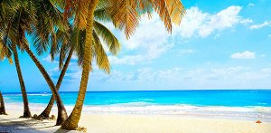 Фотообои Тропический пляж