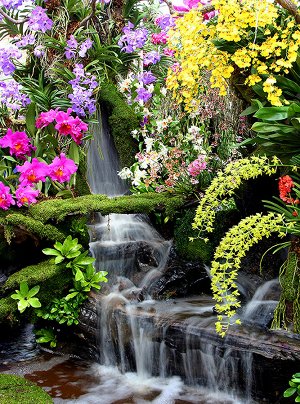 Фотообои Водопад в цветах