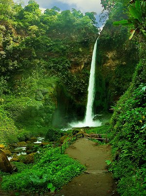 Фотообои Тропический водопад