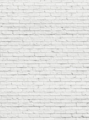 DIVINO Decor Фотообои Кирпичная стена белая 200х270