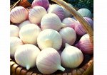 Любаша цена за 3 головки