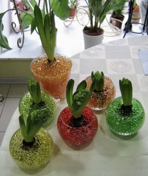 Гидрогель для декора и домашних растений