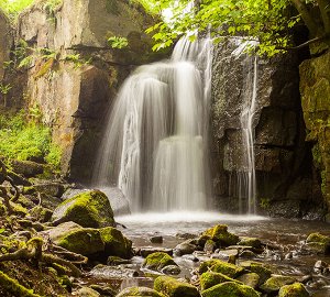 Фотообои Водопад в реликтовом лесу