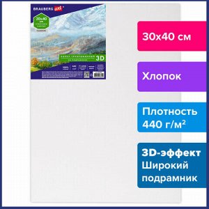 Холст 3D на подрамнике BRAUBERG ART CLASSIC 30х40см, 440г/м, грунт, 100% хлопок мелкое зерно, 191663