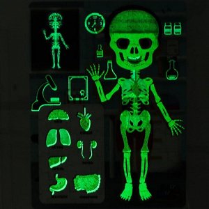 Пазлы светящиеся «Рентген-кабинет», 88 деталей
