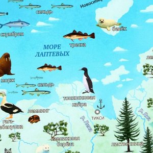 Интерактивная карта России для детей «Карта Нашей Родины», 101 х 69 см, ламинированная