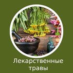 Лекарственные травы