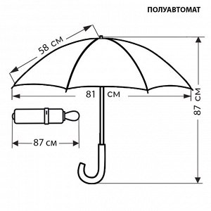 Goroshek Зонт Женский Прозрачный полуавтомат [RT-41628-4]