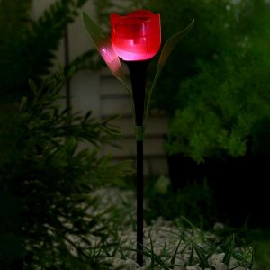 Фонарь садовый на солнечной батарее "Тюльпан красный" 30.5 см, d-5 см, 1 led, пластик