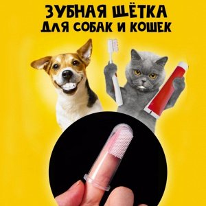 Зубная щетка для собак и кошек на палец