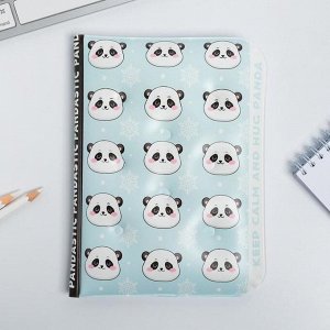 Подарочный набор новогодний обложка на паспорт и ежедневник антистресс Pandastic winter!