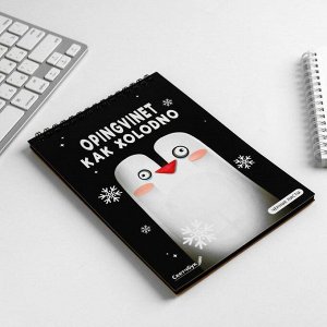 Набор Скетчбук, фигурный ластик, карандаши Winter PENGUIN