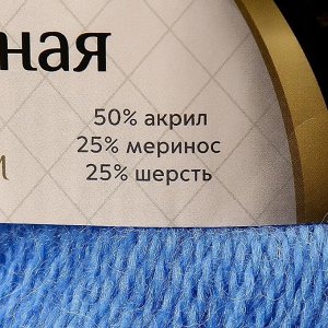 Пряжа "Воздушная" 25%меринос. шерсть, 25%шерсть, 50%акрил 370м/100гр (018 мадонна)