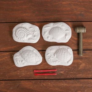 Набор археолога «Моллюски», серия: 4 брикета, молоток, долото