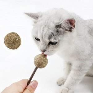Кошачья мята на палочке